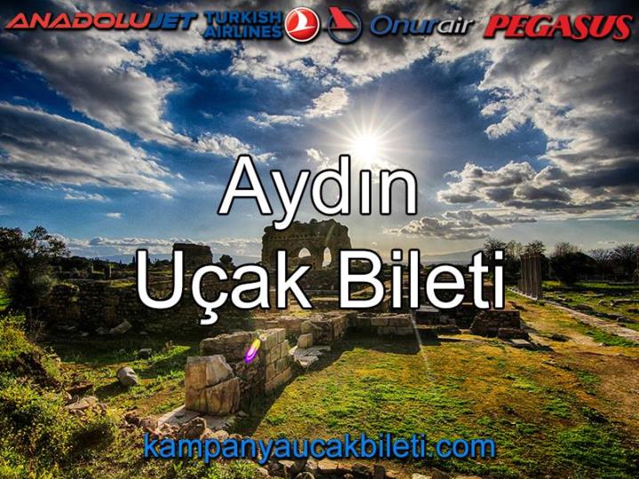 Aydın Uçak Bileti