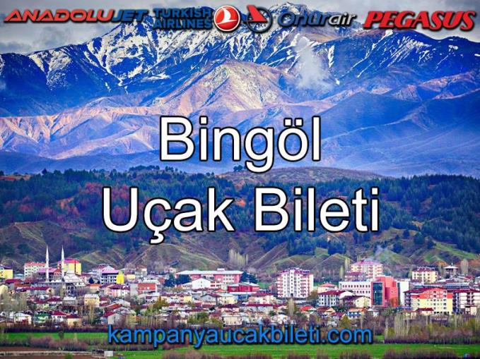 Bingöl Uçak Bileti