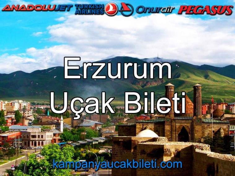 Erzurum Uçak Bileti