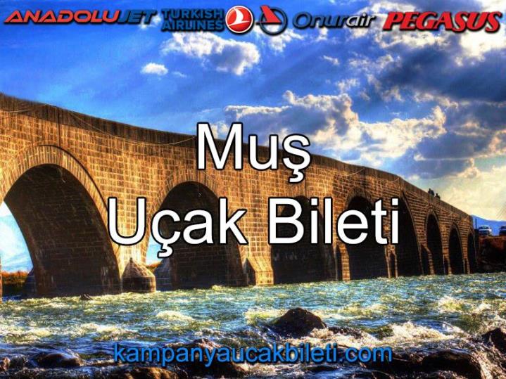 Muş Uçak Bileti